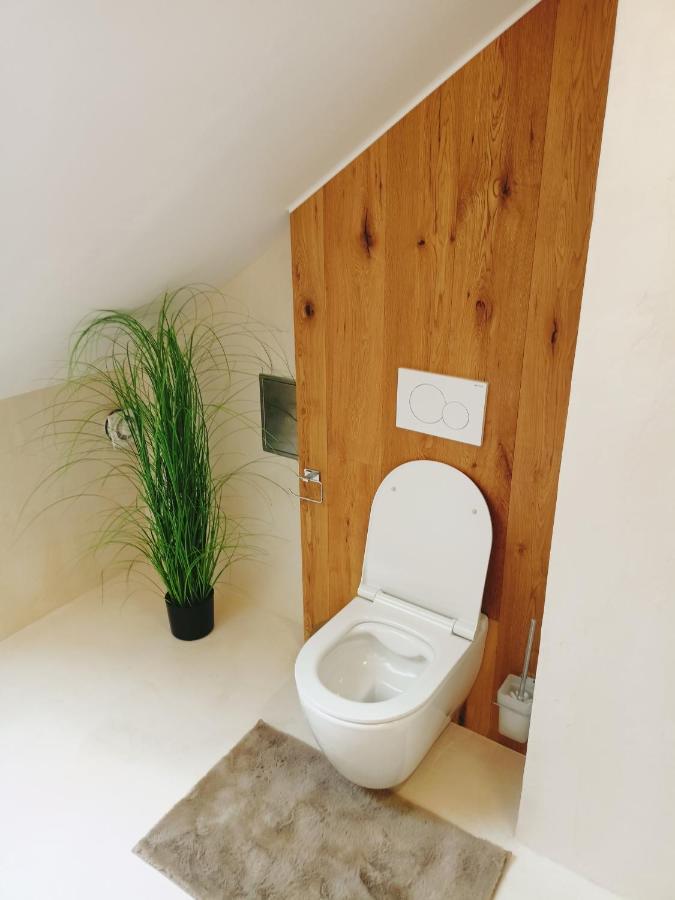 Apartman U Ovecku - Nová Paka Buitenkant foto